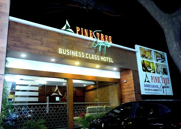 Pine Tree Signature Chennai